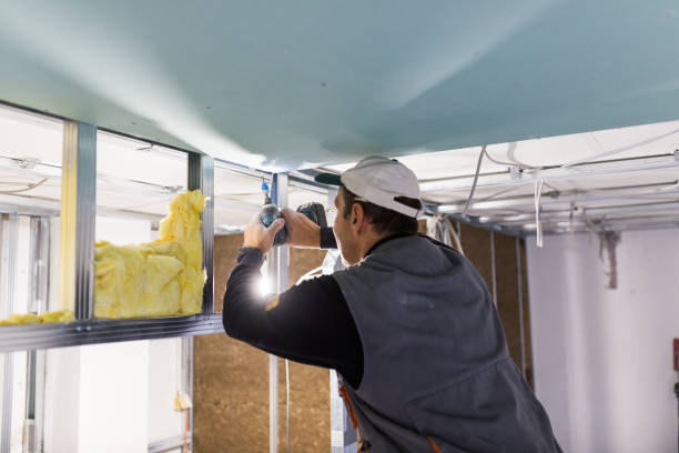 Best Insulation Installation Services in Bude, MS